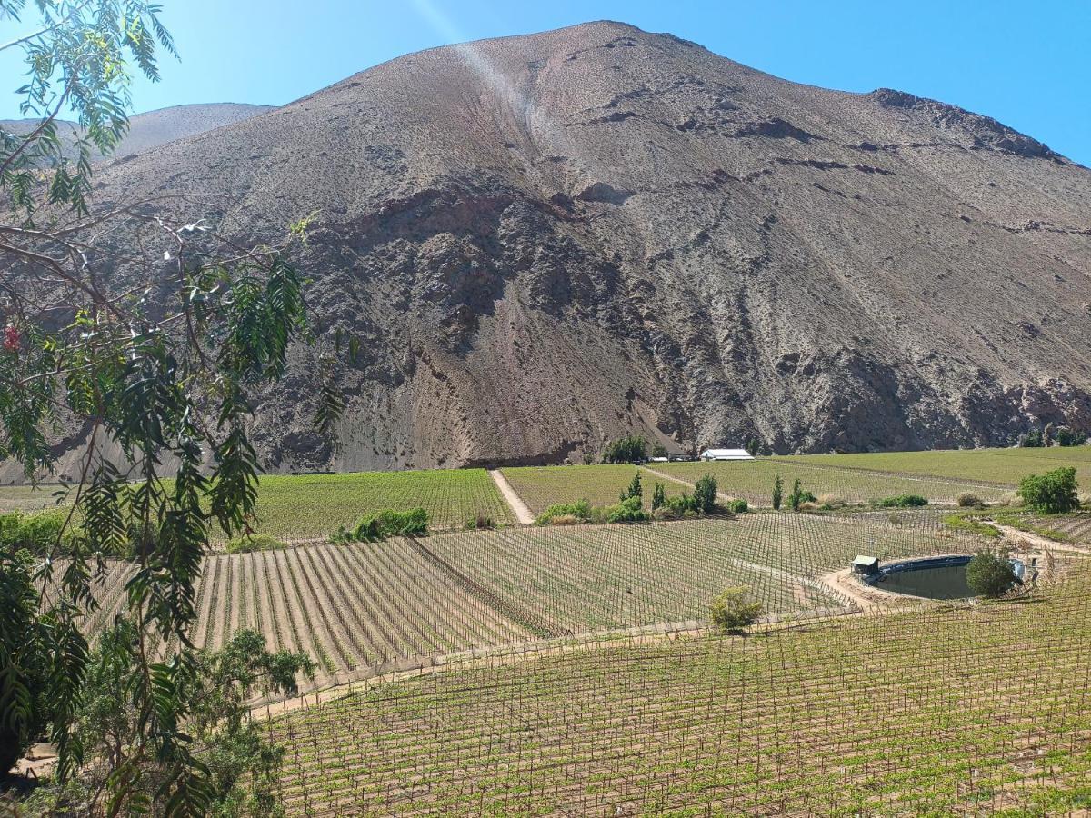 Villa Ladera Loft Pisco Elqui Extérieur photo